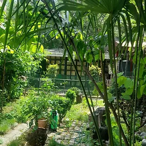  Гостевой дом Gardens In Vake,